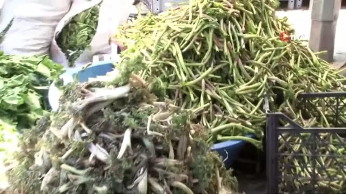 Bilinçsizce toplanan bitkiler yok olma tehlikesi altında