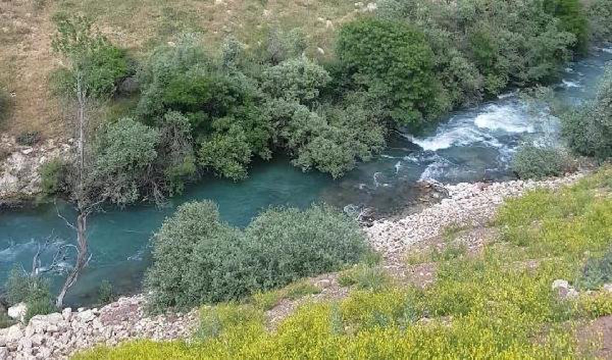 Çaya giren Fatma Nur kayboldu