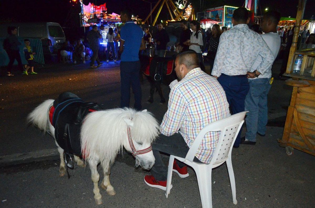 En büyük ilgi onlara