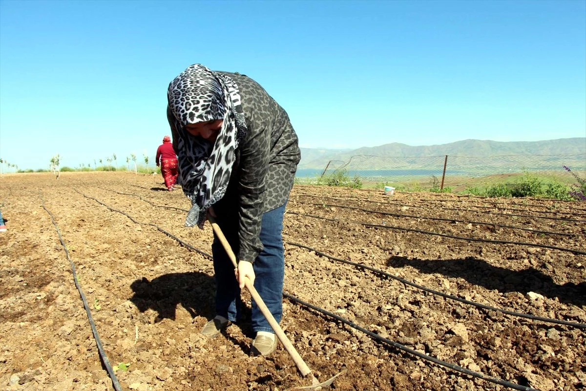 Engelli kadınların hobi bahçesinde bahar heyecanı