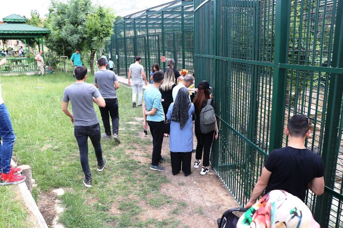 Malatya Hayvanat Bahçesi\'nde bayram yoğunluğu