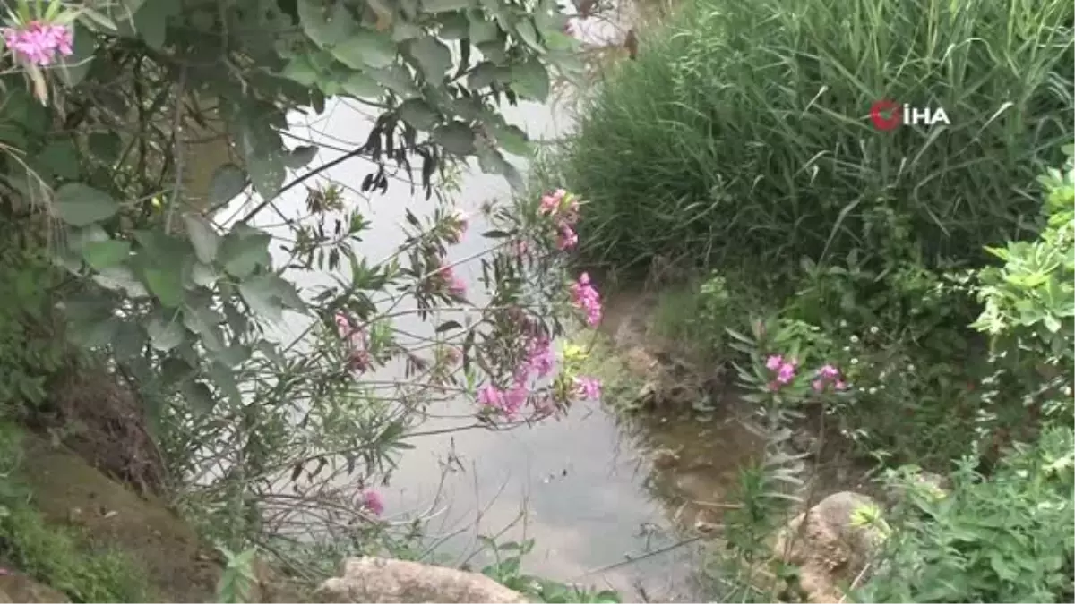 Savaşta babasını kaybeden çocuk su birikintisinde boğuldu