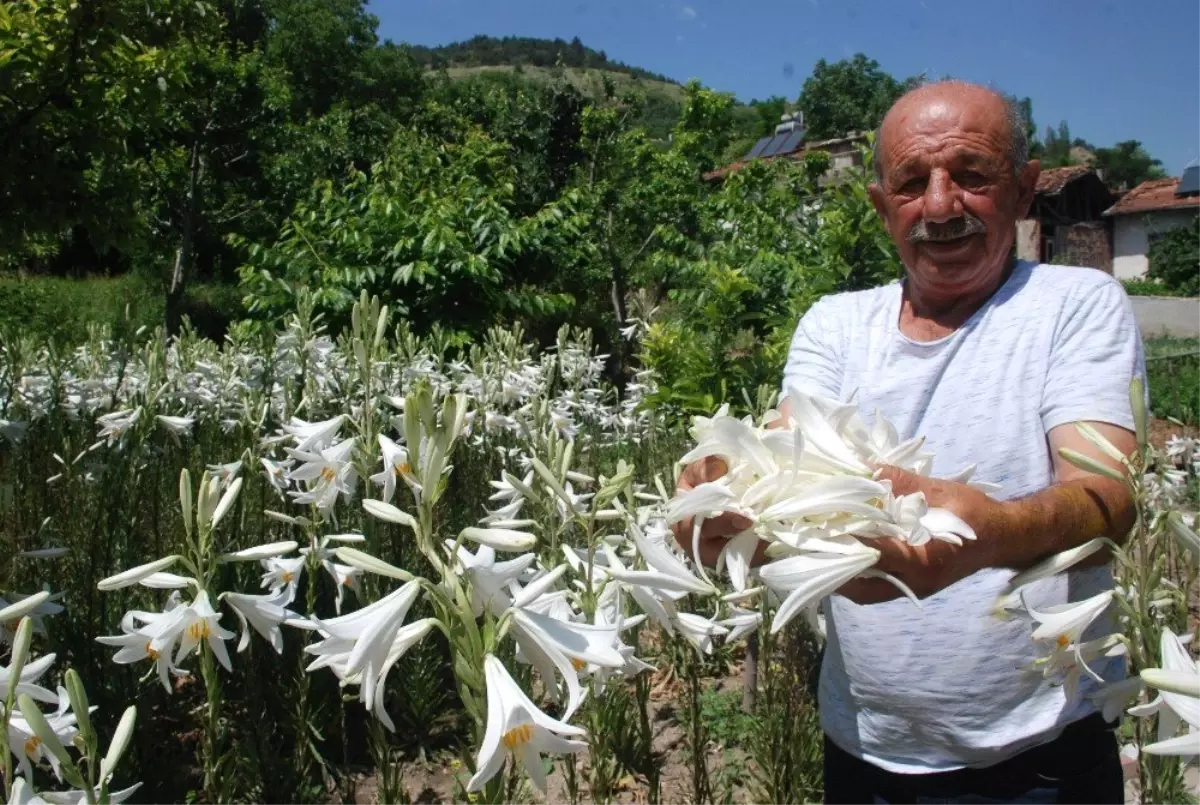 Hobi olarak başladı, taleplere yetişemiyor