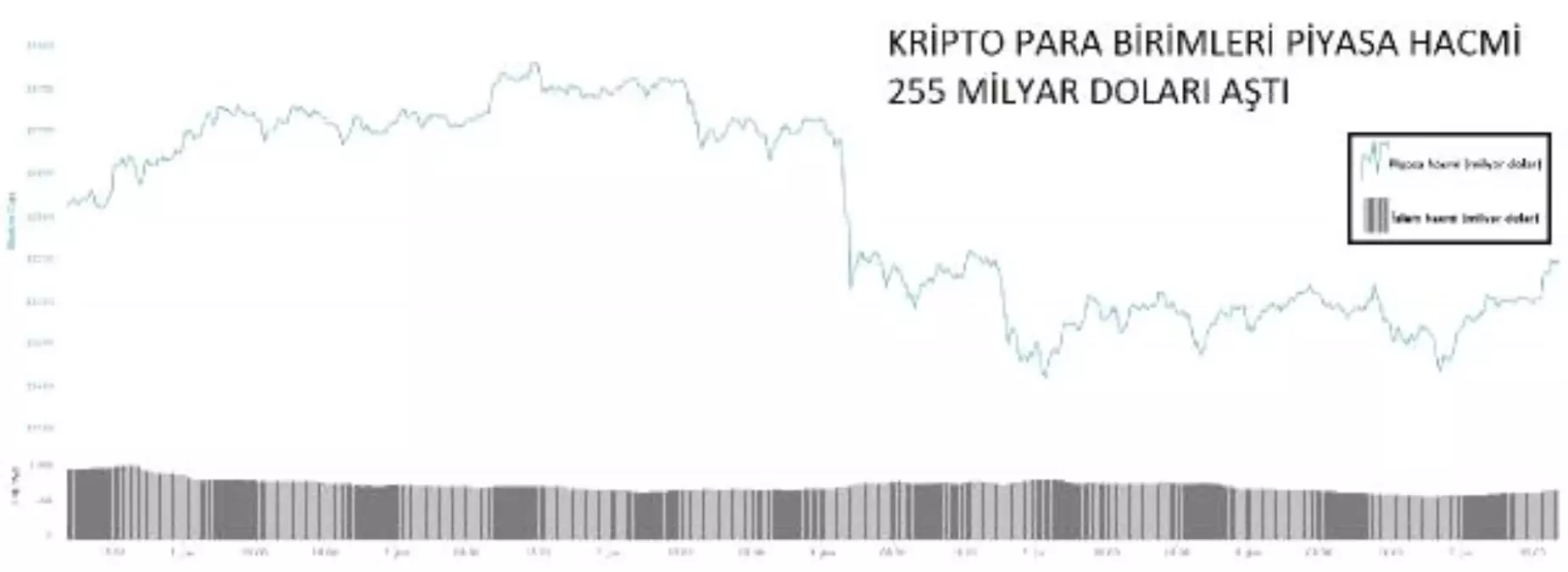 KRİPTOPARA – Piyasa hacmi 255 milyar doları aştı