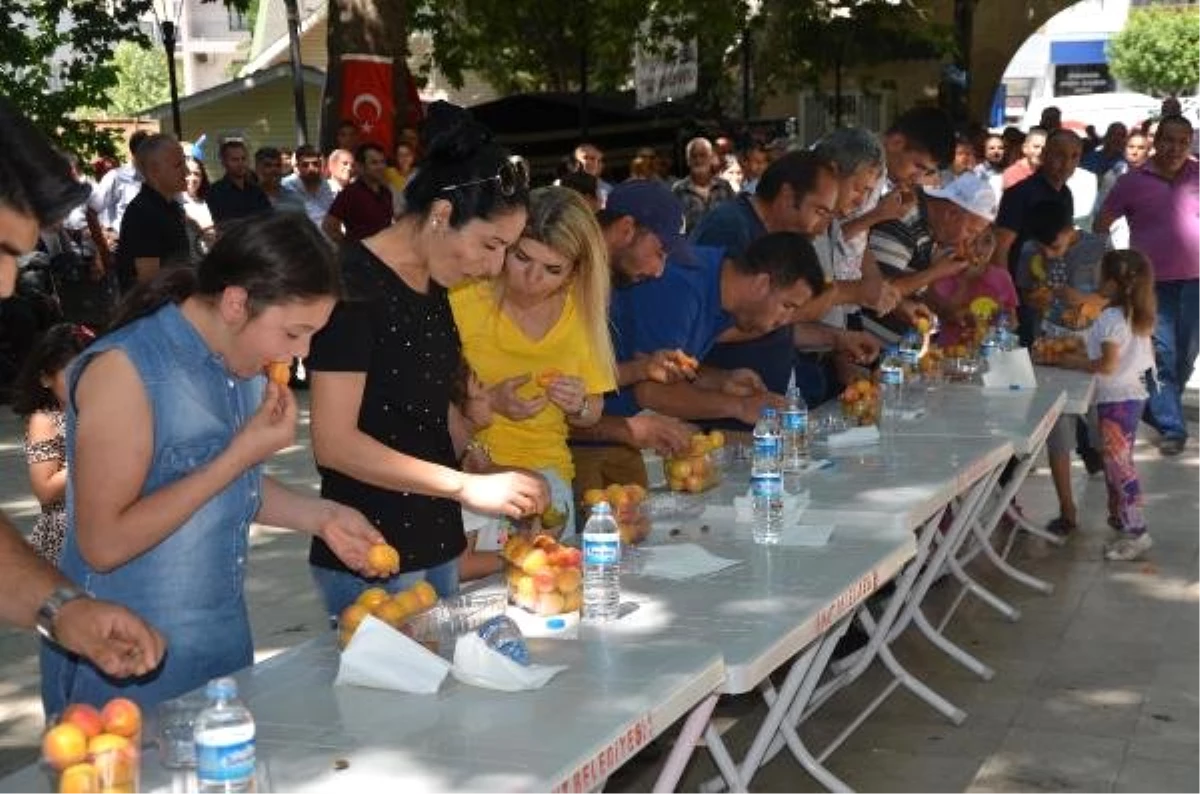 Mut Kayısı Festivali başladı