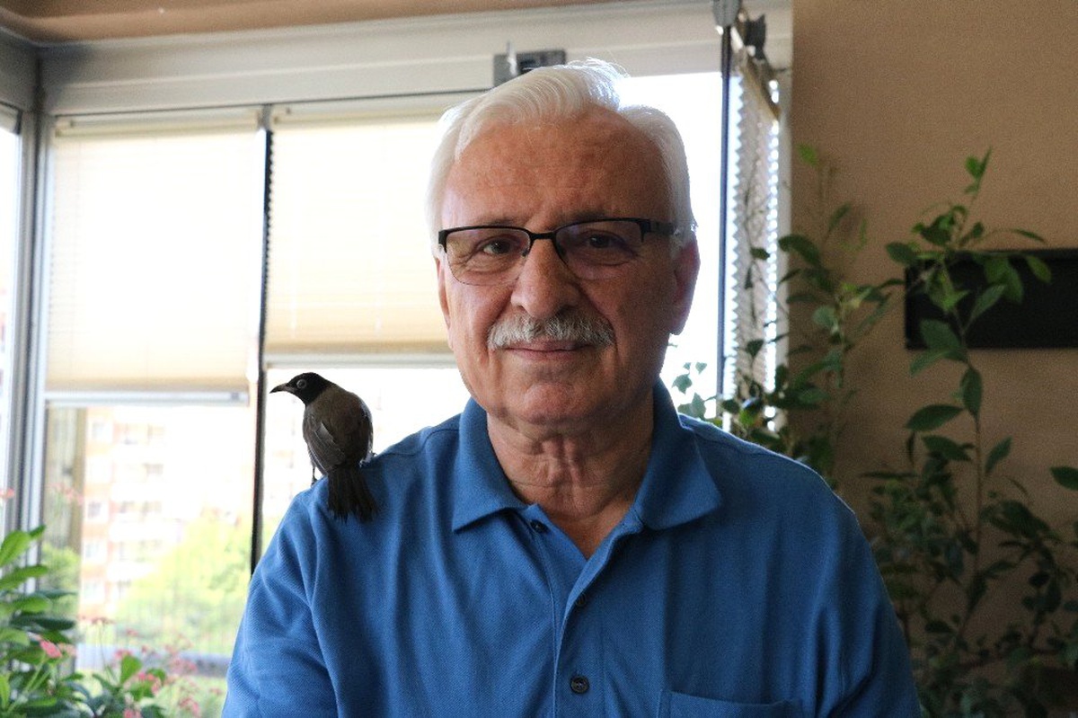 Yolda bulduğu yavru kargaya gözü gibi bakıyor