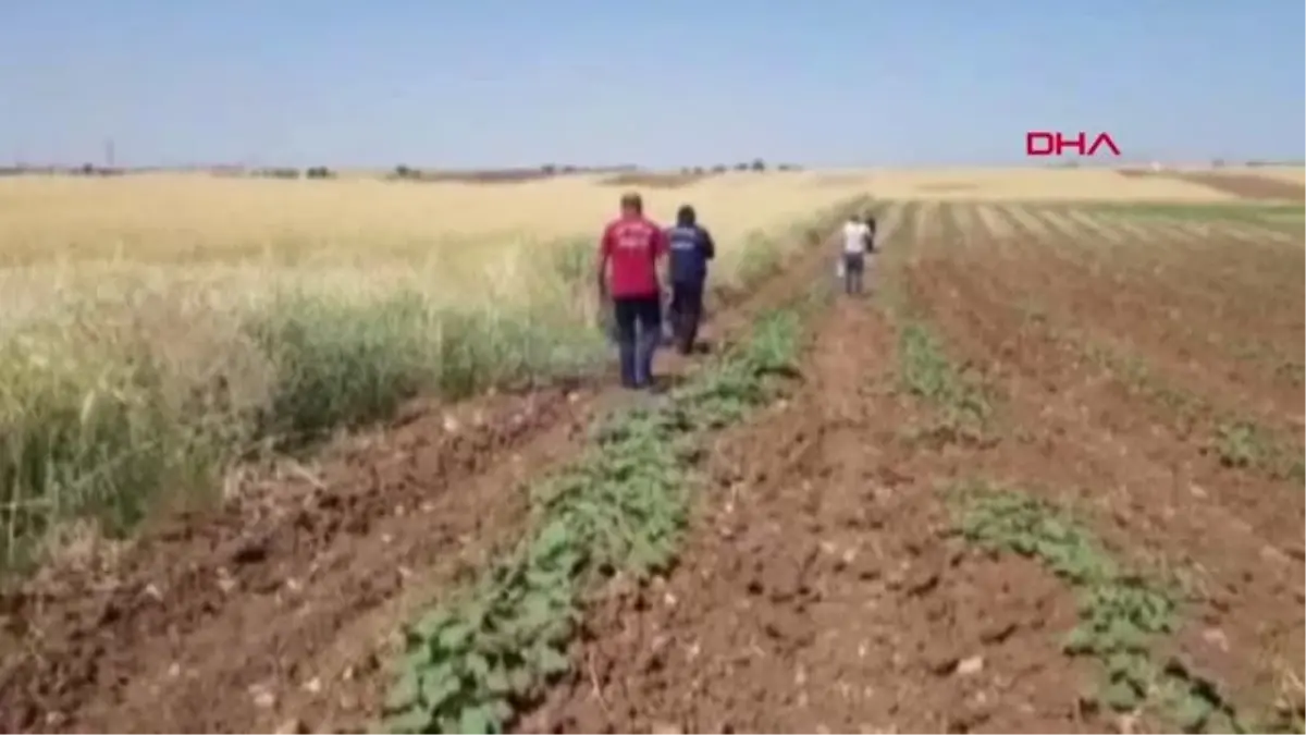 ADIYAMAN SULAMA KANALINA DÜŞEN İNEĞİ AFAD VE İTFAİYE EKİPLERİ KURTARDI