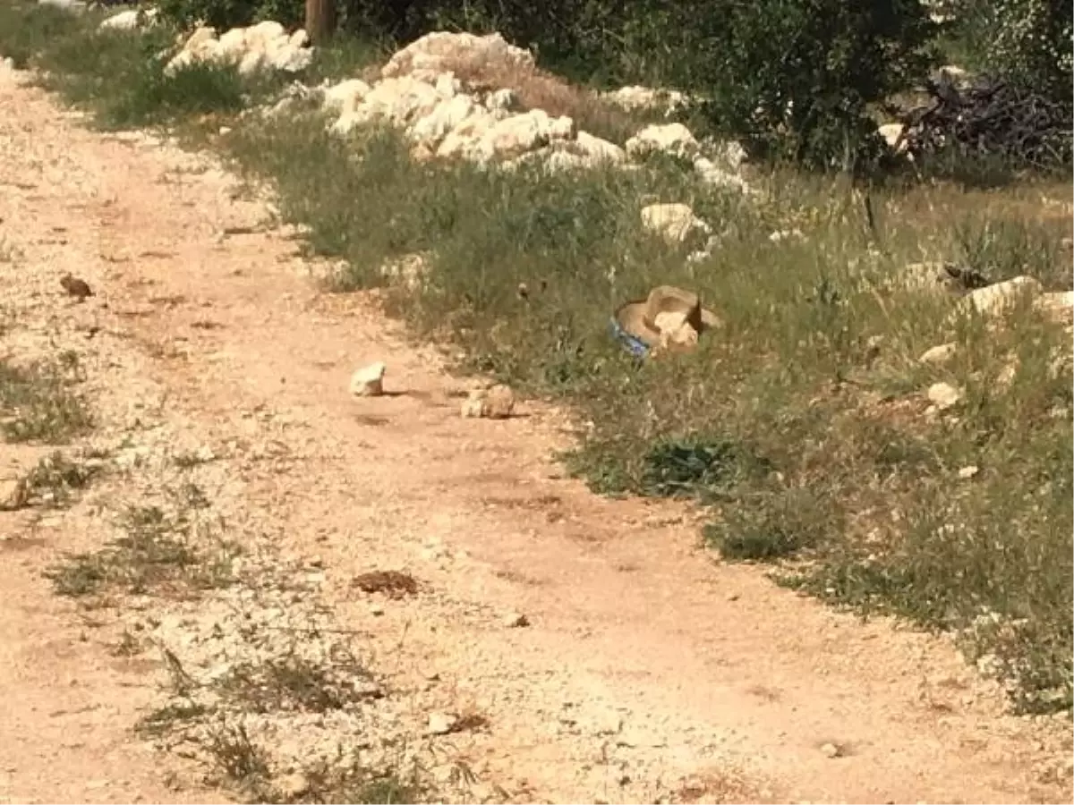 \'Arazi\' kavgasında anne ile polis memuru oğlu av tüfeğiyle öldürüldü