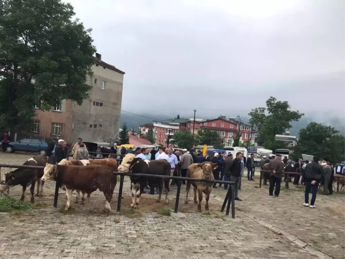 Hayvan pazarında sessiz bekleyiş hakim