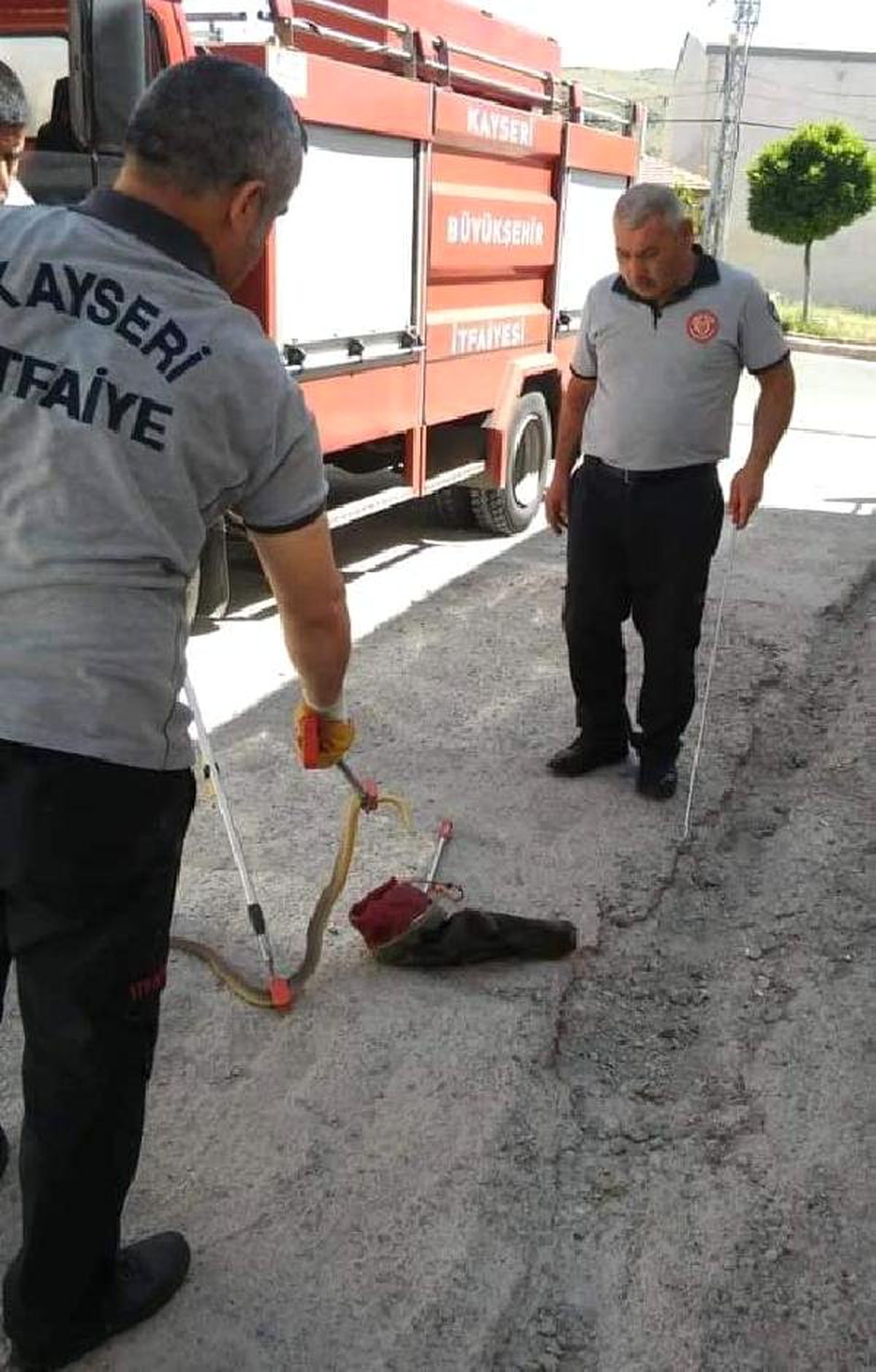 Kayseri itfaiyesinden yılan avı