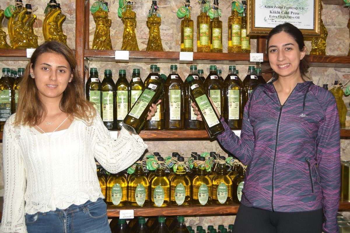 (Özel) Coğrafi işaretli Ayvalık zeytinyağı AB tescili yolunda