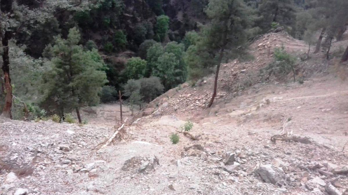 Pikniğe gitti uçuruma düştü