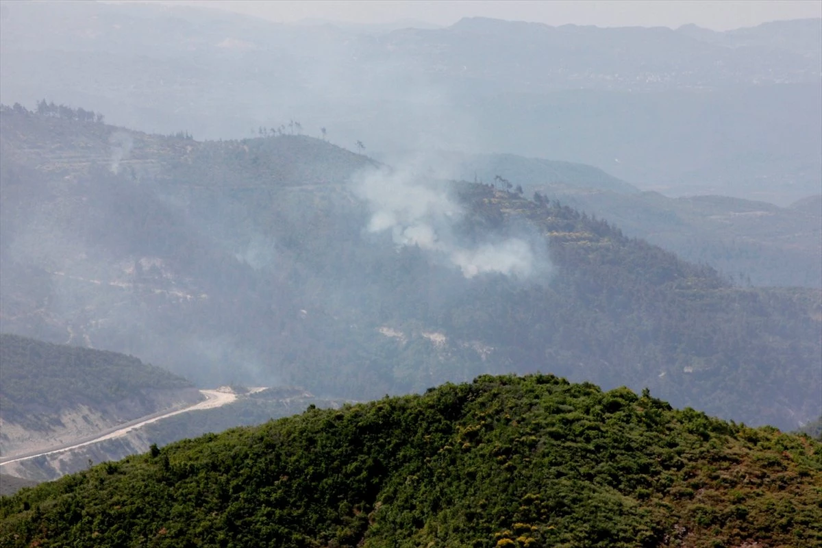 Suriye\'nin Türkiye sınırında çıkan orman yangını söndü