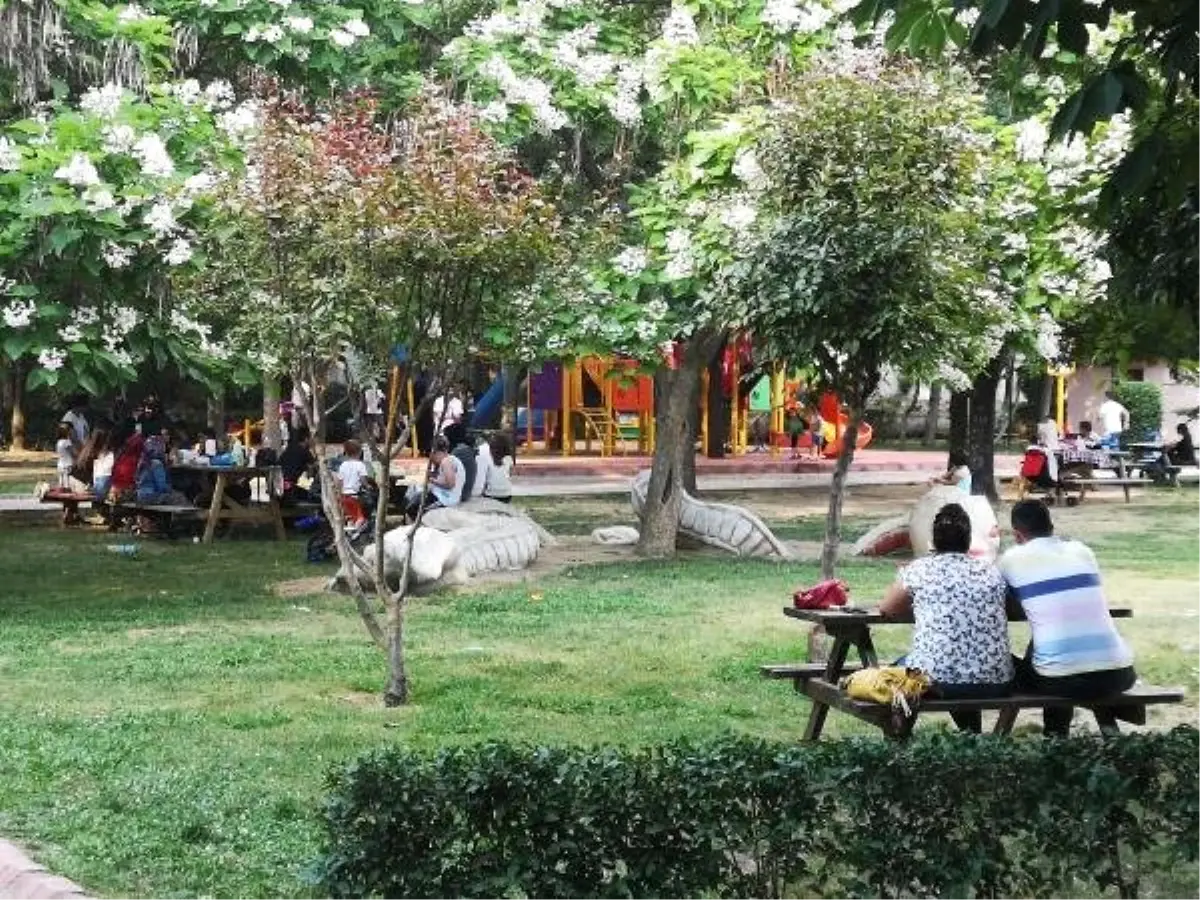 Tatile gidemeyenlerin alternatifi piknik alanları oldu