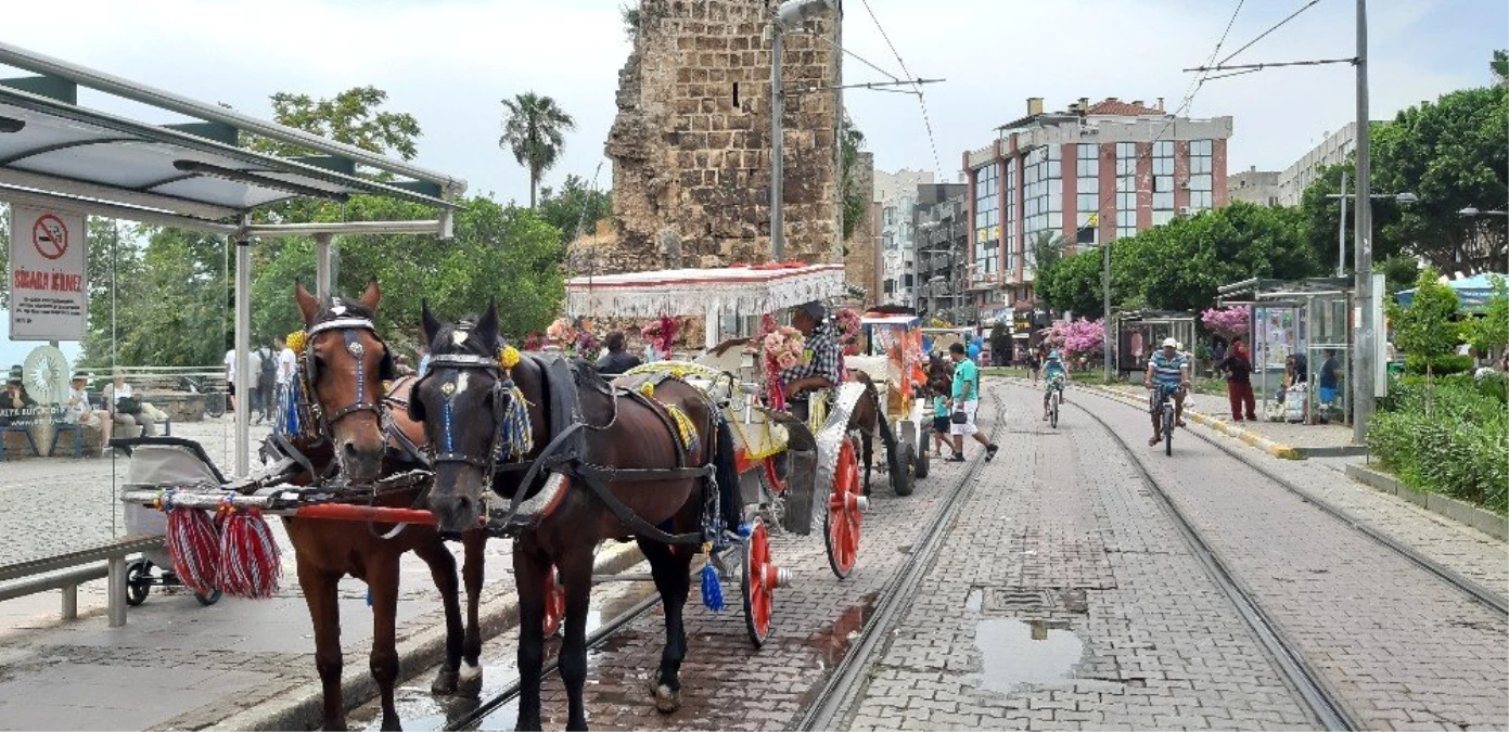 Antalya faytoncular son kez Antalya sokaklarındaydı