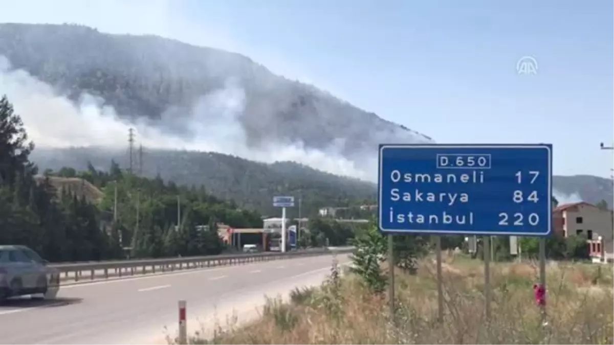 Orman yangını