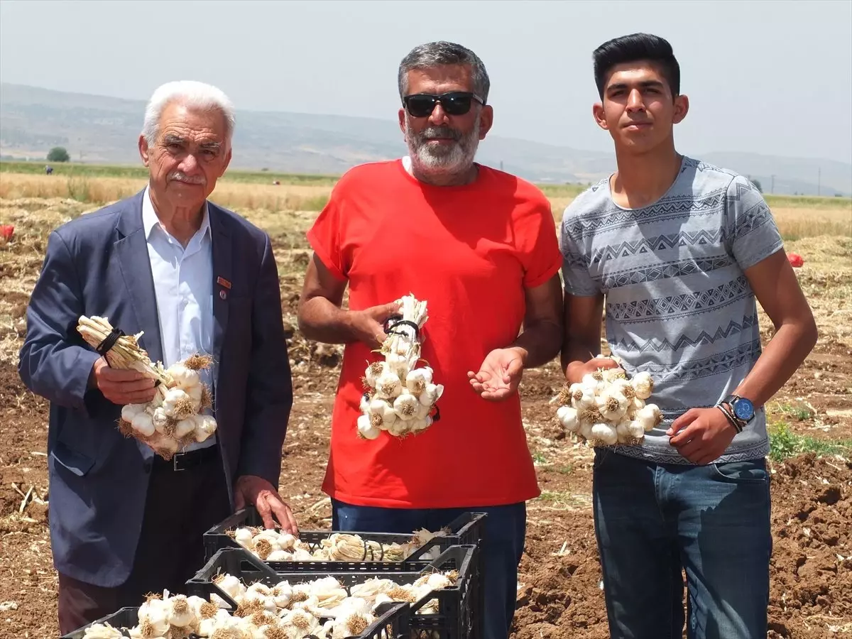 Sarımsak üreticilerinden şehit ailelerine destek