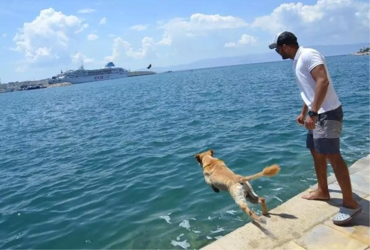 Deniz tutkunu Miço, ilgi odağı oldu