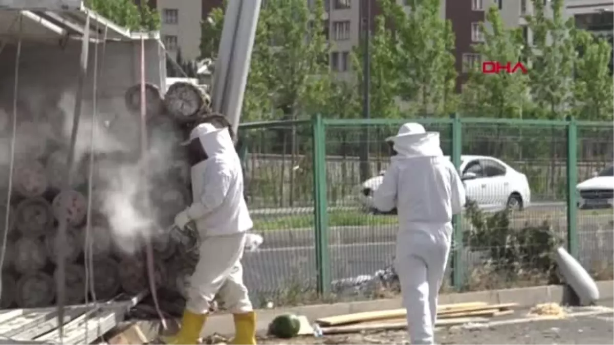 DİYARBAKIR Arı kovanı yüklü kamyonet devrildi, çevredekiler zor anlar yaşadı