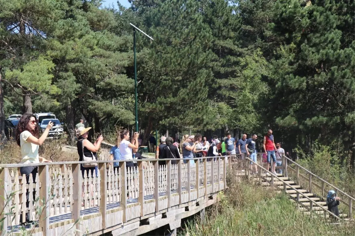 Doğal güzellikleriyle ünlü Bolu\'ya, bayram tatilinde 84 bin 798 tatilci geldi