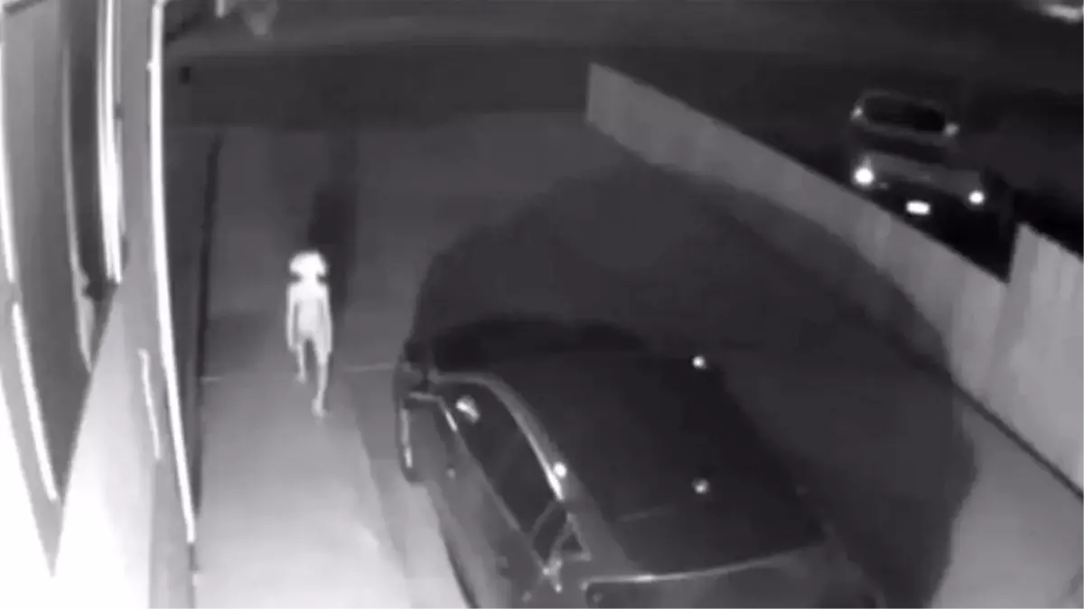 Güvenlik Kamerasına Takılan Harry Potter\'ın \'Dobby\' Karakteri, Sosyal Medyayı Karıştırdı