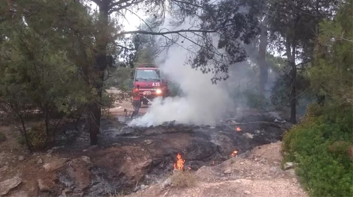 Orman yangını anında müdahaleyle söndürüldü