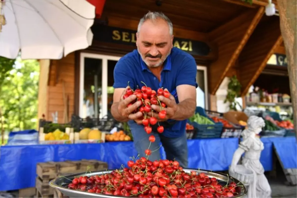 Osmangazi’den kırsal kalkınmaya destek