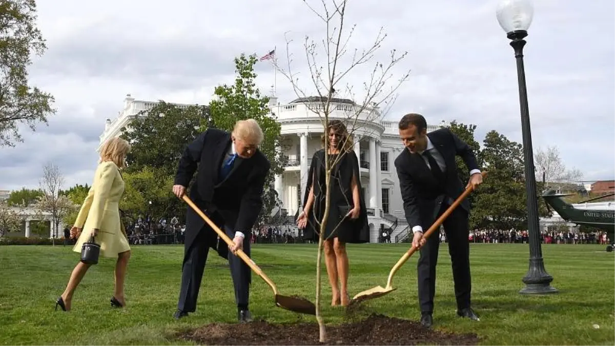 Trump\'la Macron\'un Beyaz Saray\'ın bahçesine diktiği \'dostluk fidanı\' kurudu