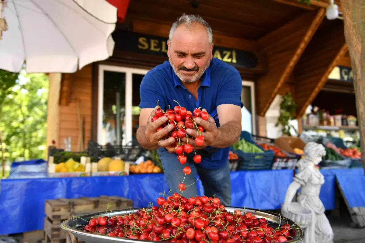 Üretici Pazarı, Bursalılara ucuza yeme fırsatı sunuyor