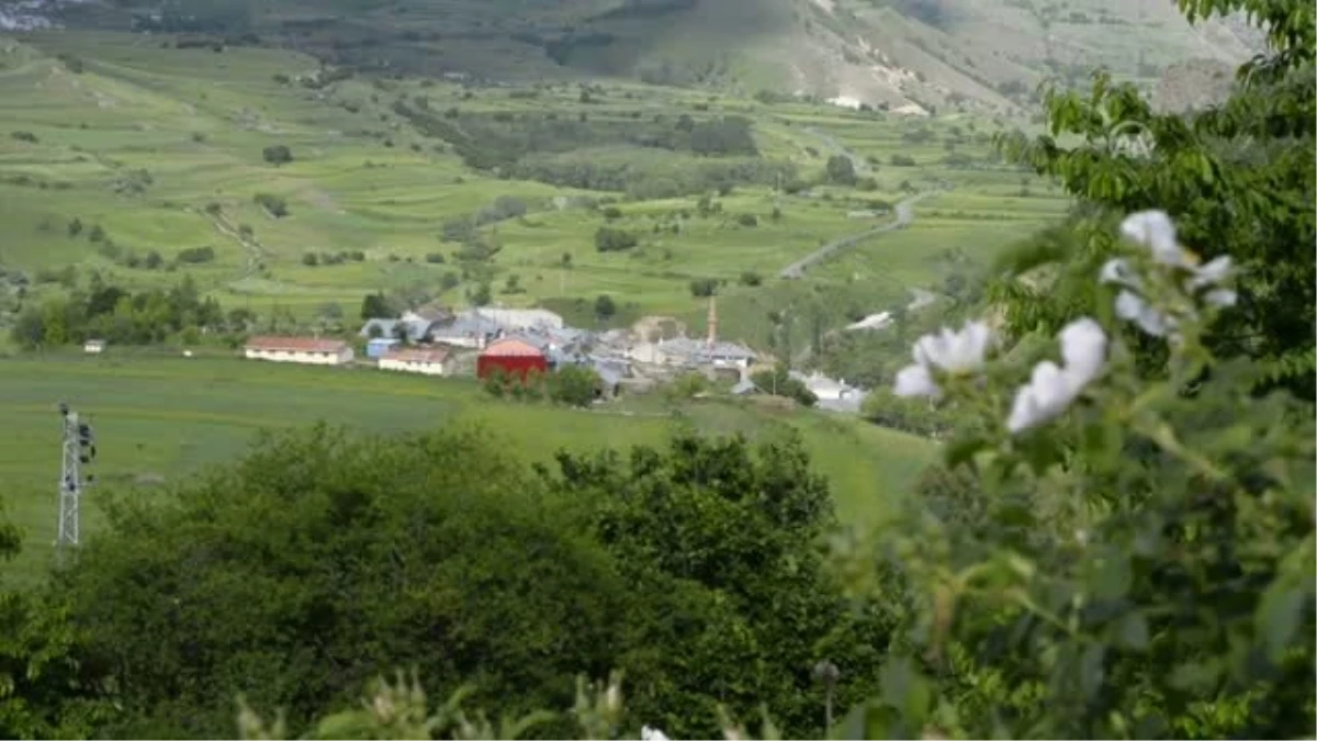 Ardahan\'da bir köy heyelan riski nedeniyle boşaltıldı