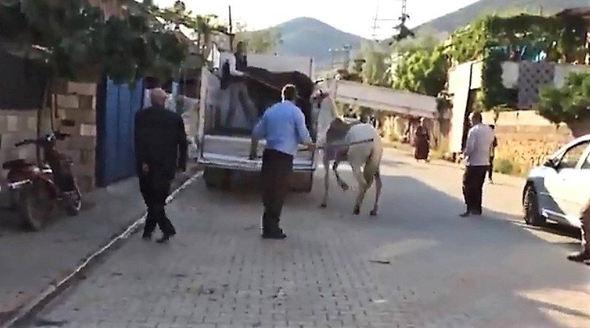 Atına sopayla vuran şahsa ceza kesildi