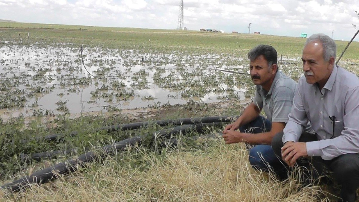 Kulu\'da dolu yağışı sonrası hasar tespiti yapıldı