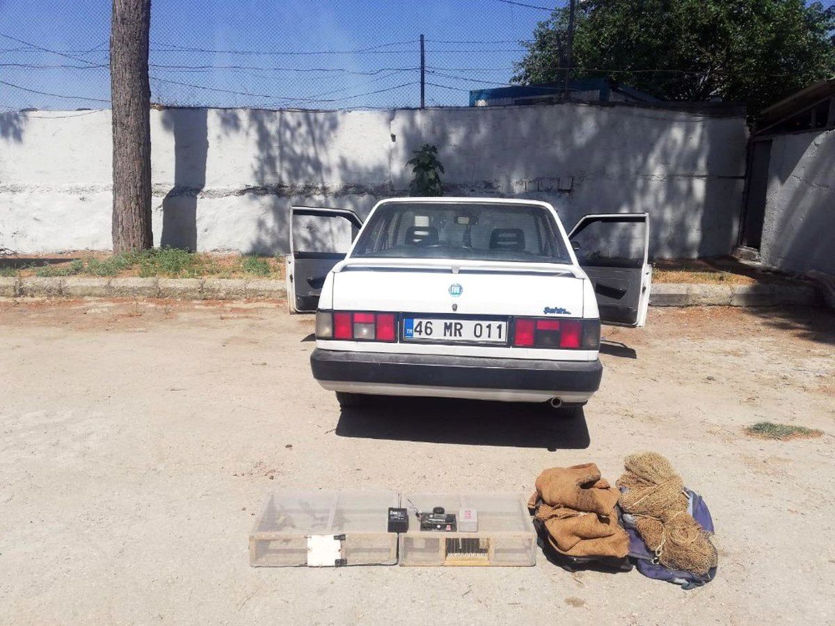 Saka kuşları pahalıya patladı