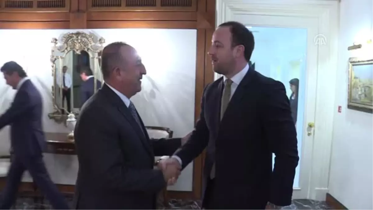 Çavuşoğlu, Nikolic\'i kabul etti