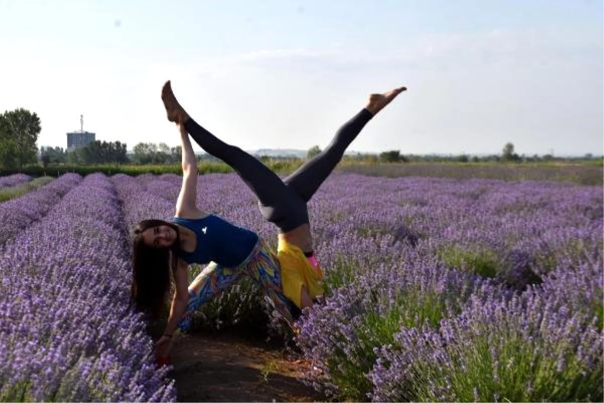 Edirne\'de lavanta tarlasında yoga yaptılar