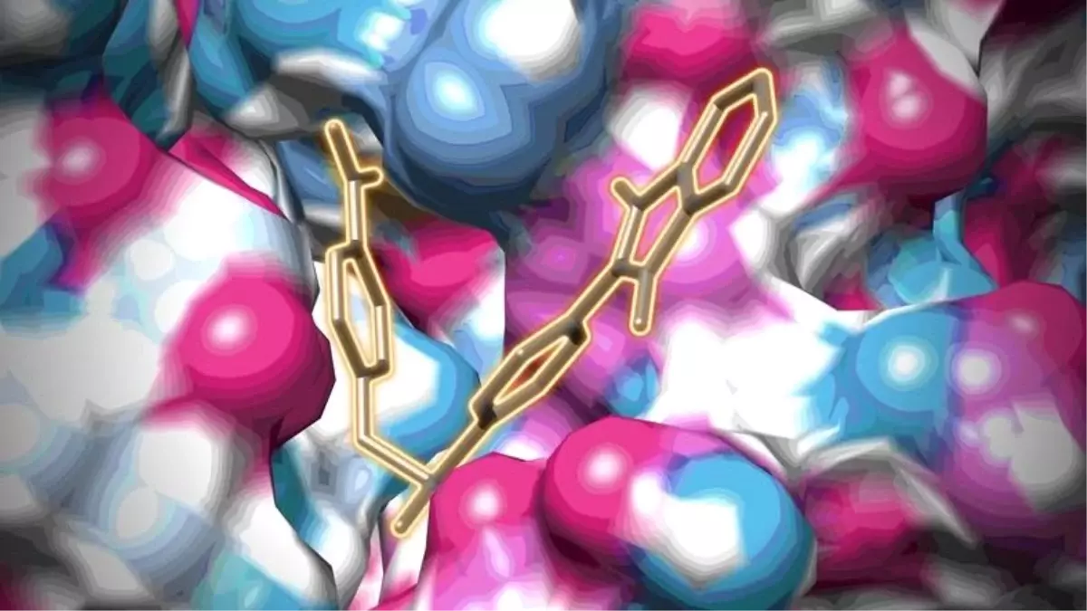 İnsanlarda Bulunan Virüslerde Önemli Bir Zafiyet Keşfedildi