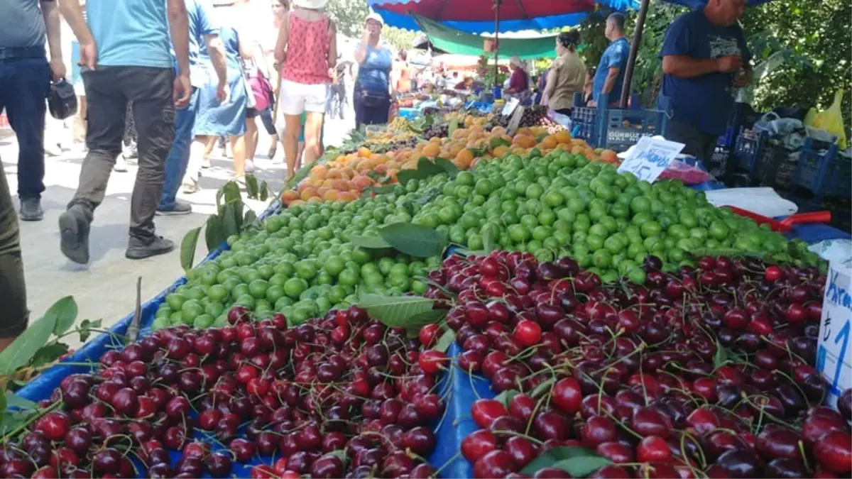 Kirazlı yeniden ilgi odağı oldu