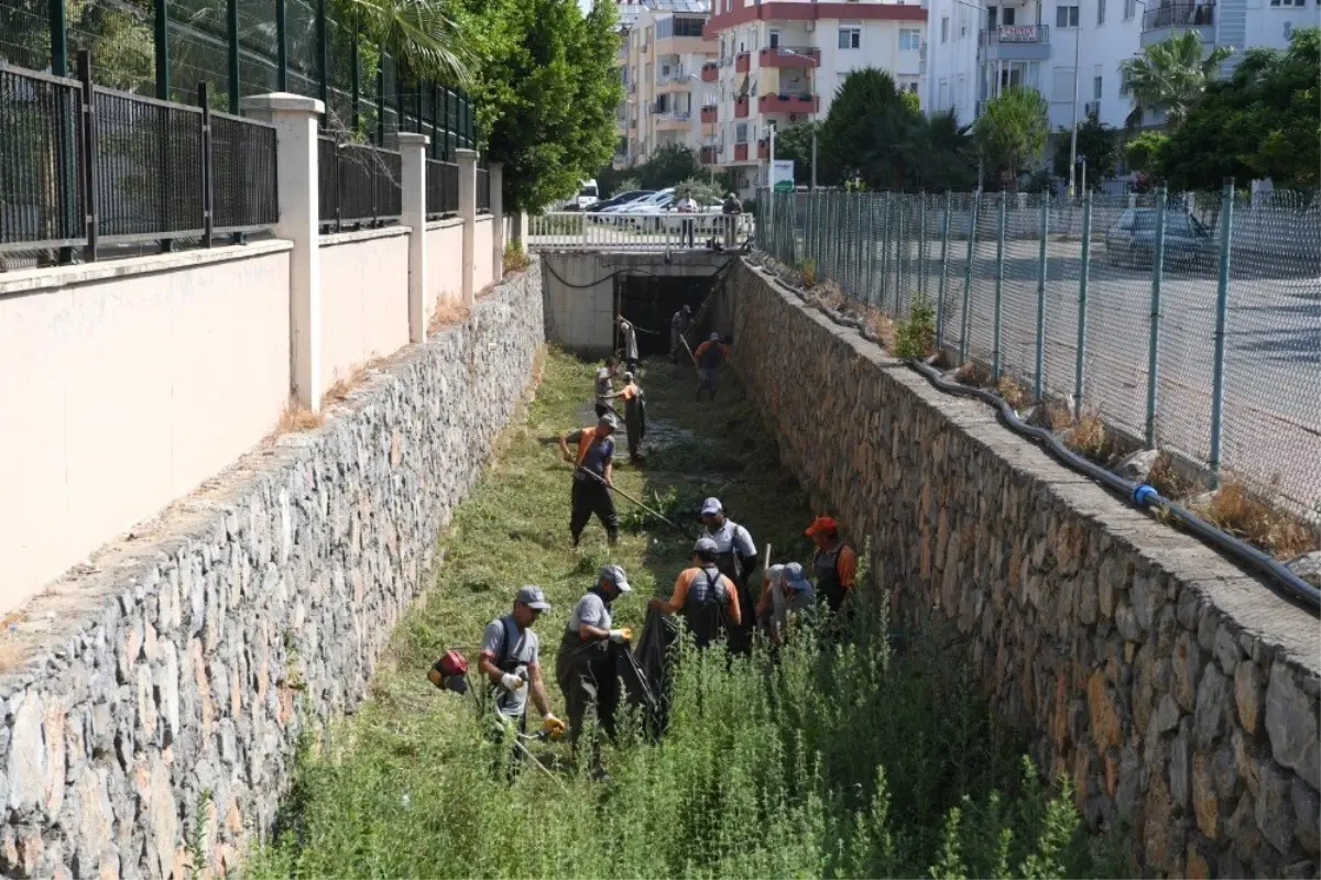 Konyaaltı\'nda dere yatakları temizleniyor