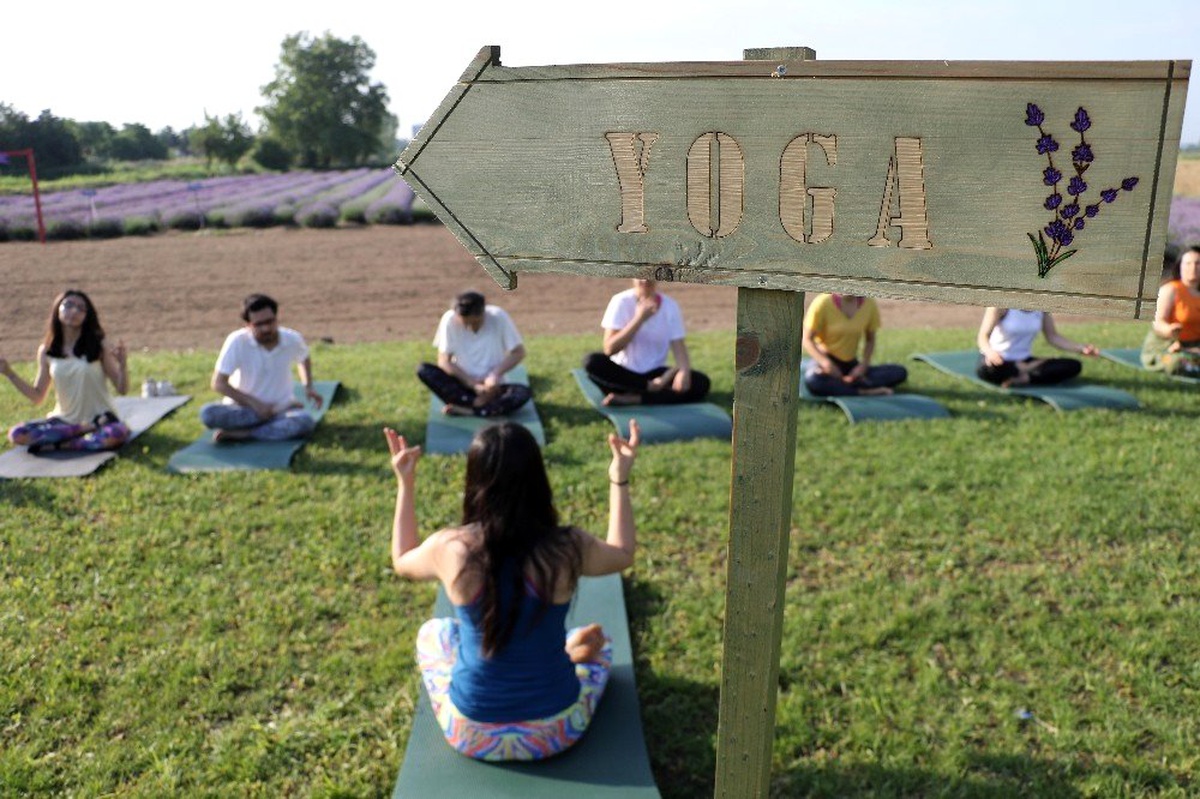 \'Lavanta\' tarlasında yoga ile güne başladılar