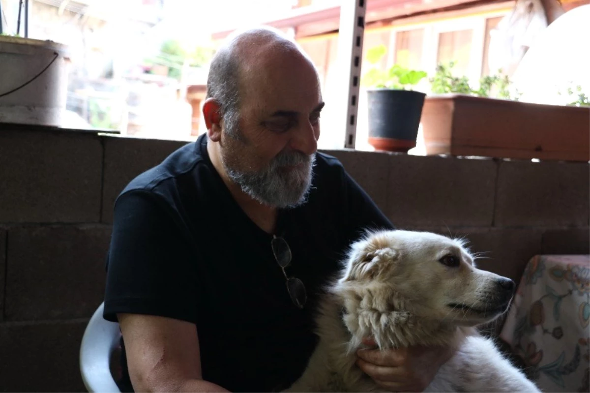 Sahiplendiği köpeğe iki ay sonra kavuşan hayvansever kayıp diğer iki köpeğini de arıyor