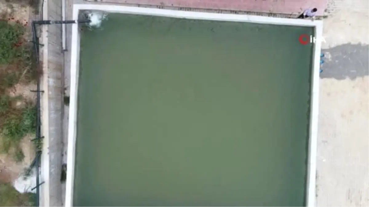 Bölgenin en büyük AR-GE tesisinde, balıklar üretime alınıyor...Çalışmalar havadan görüntülendi