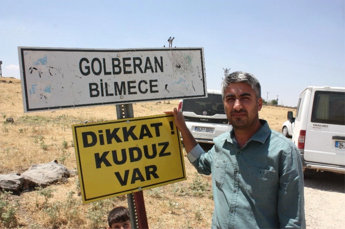 Diyarbakır\'da kuduz alarmı