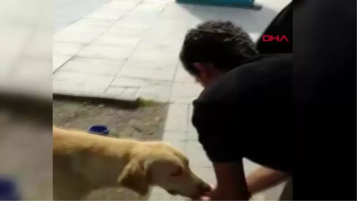 DÜZCE SOKAK KÖPEĞİNE ELLERİYLE SU VERDİ