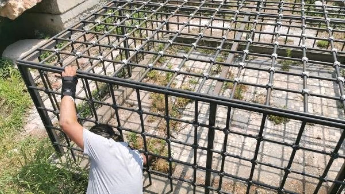Kafese alınan tarihi mozaik yabani otlardan görünmüyor