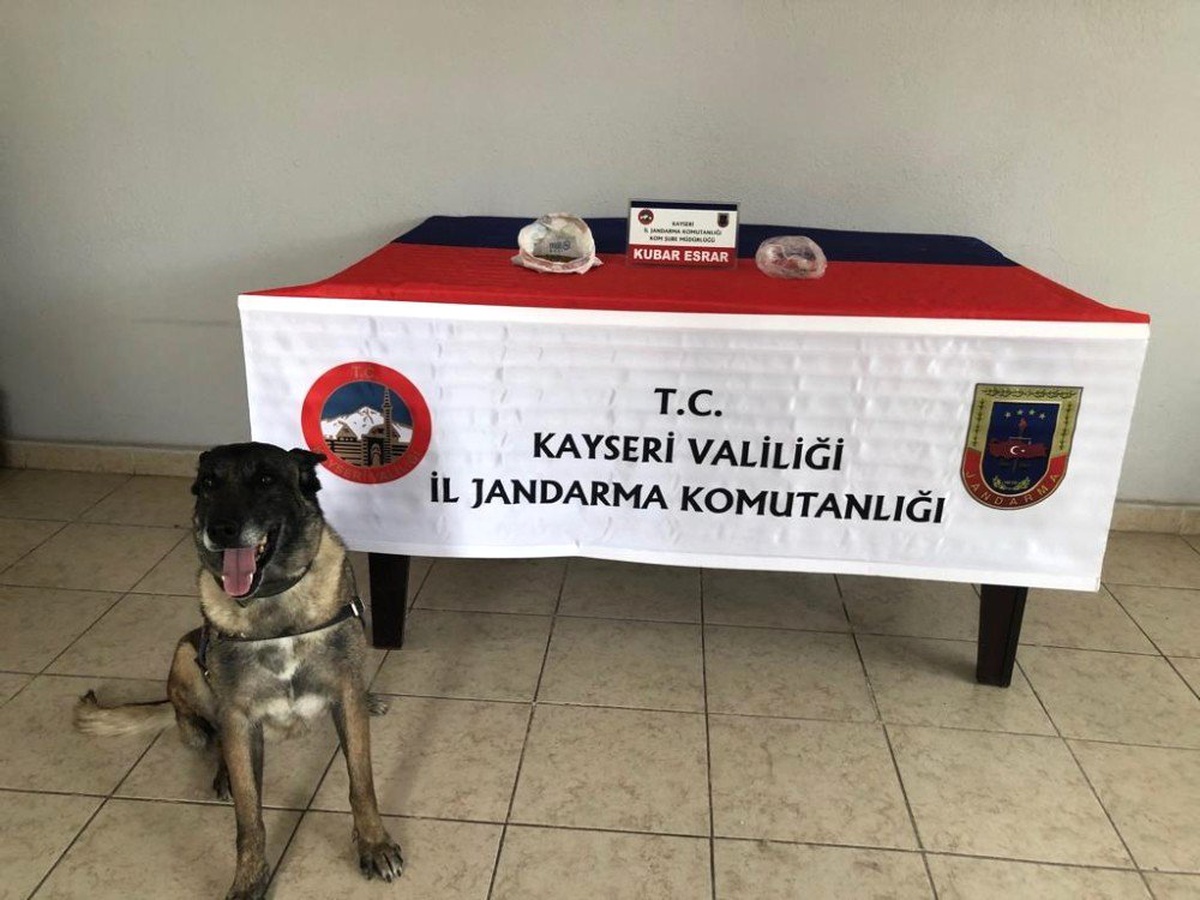 Kayseri\'de kubar esrar ve kenevir tohumu ele geçirildi