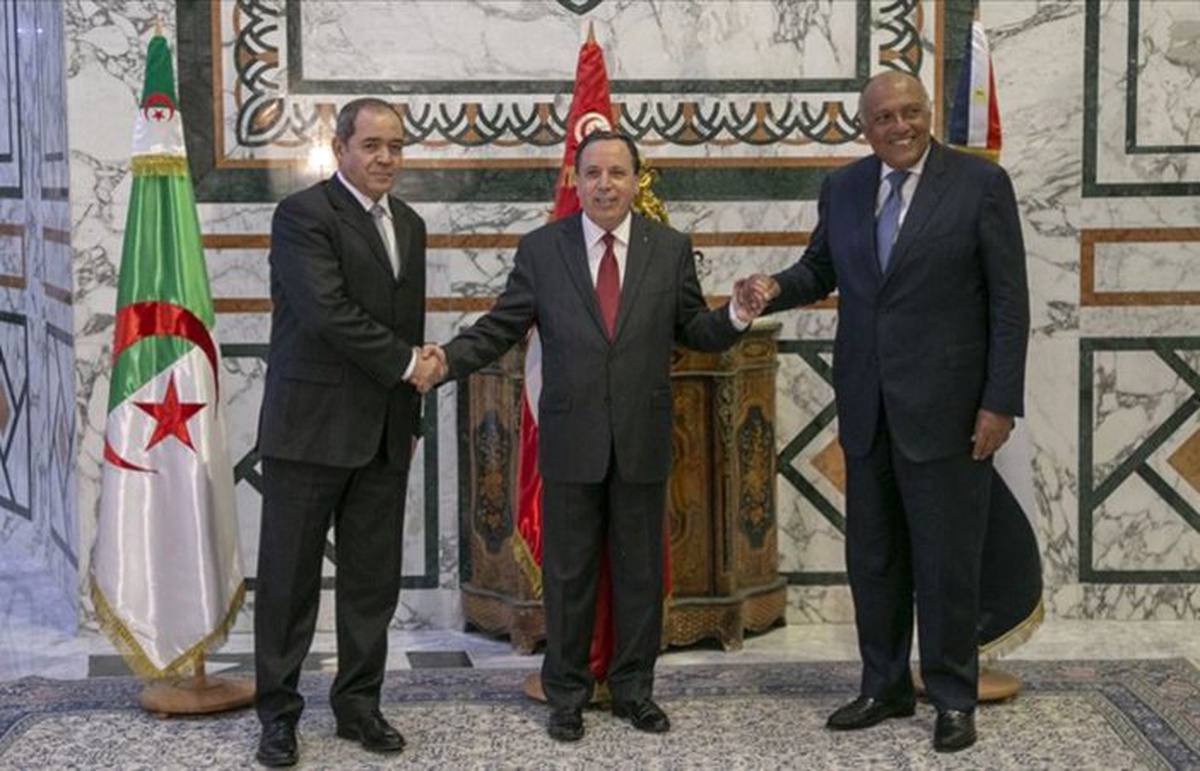 Libya\'ya komşu ülkelerden \'siyasi çözüm\' vurgusu