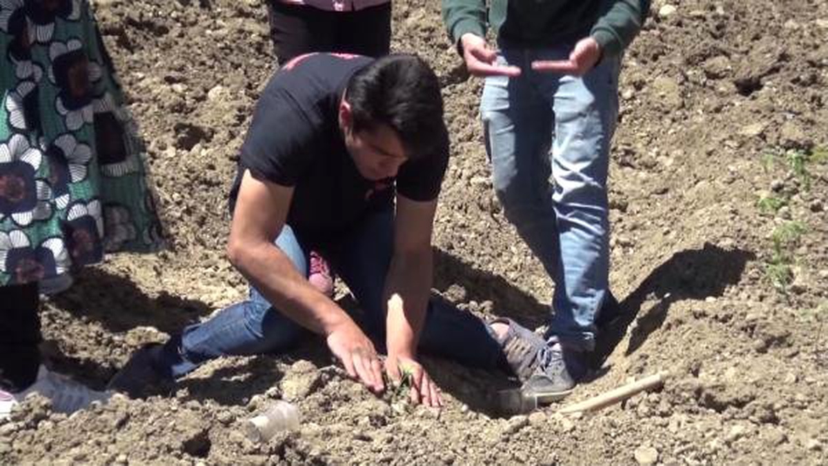 Özel çocukların yetiştirdikleri fideler satılıyor