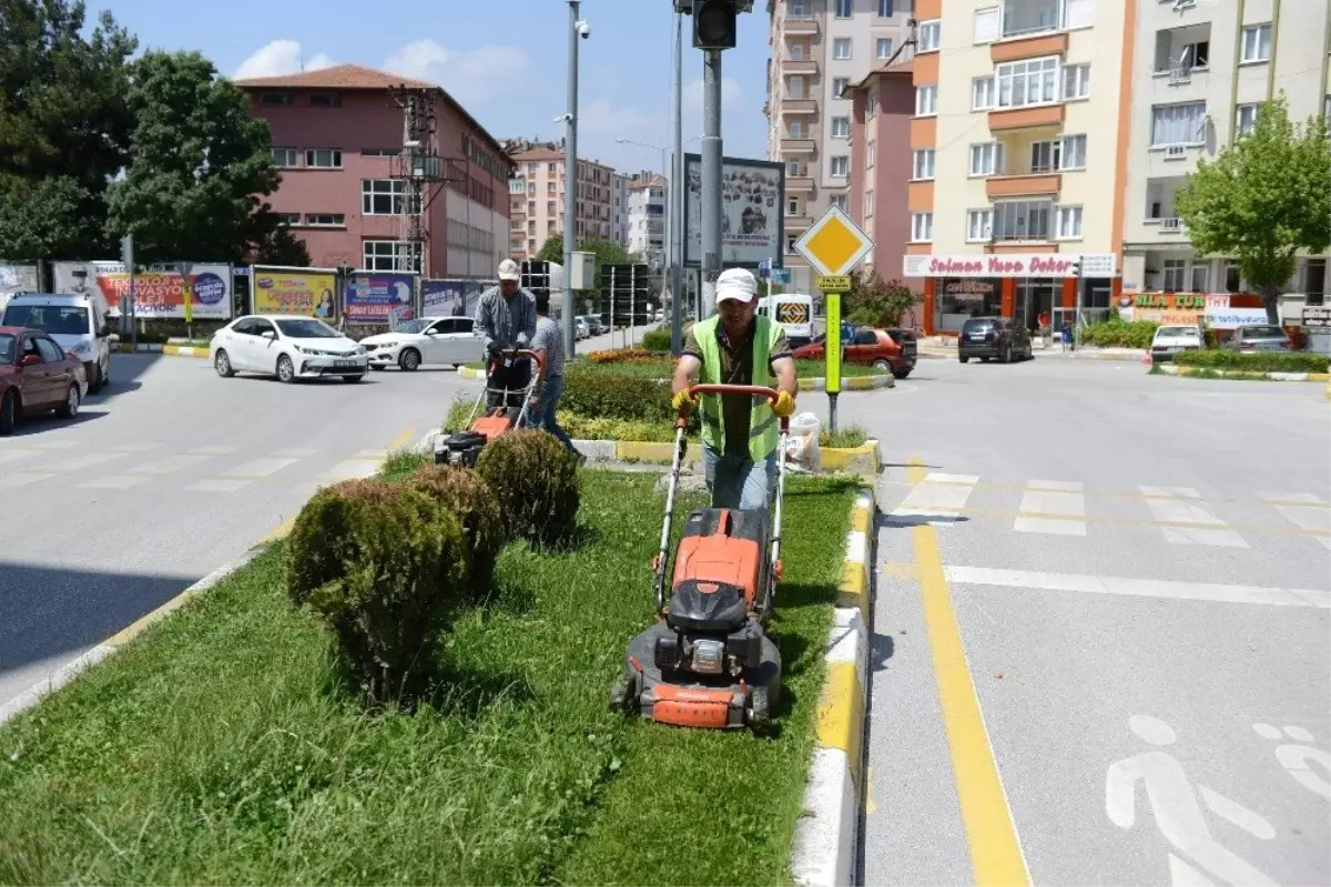 Park ve bahçelerde hummalı çalışma