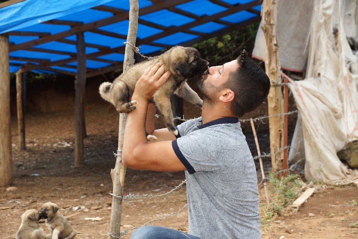 Sel sularına kapılan yavru köpekleri gözünü kırpmadan kurtardı