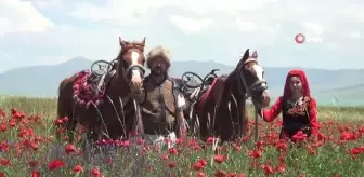 Van Gölü sahilindeki gelincik tarlaları doğal fotoğraf stüdyosuna dönüştü